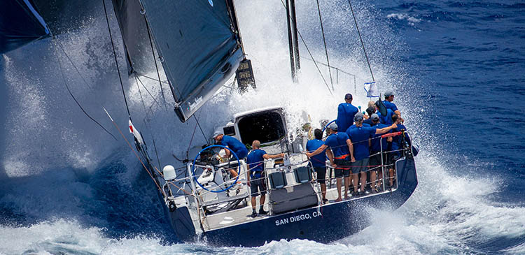 Born to Sail: Meet Roy P. Disney